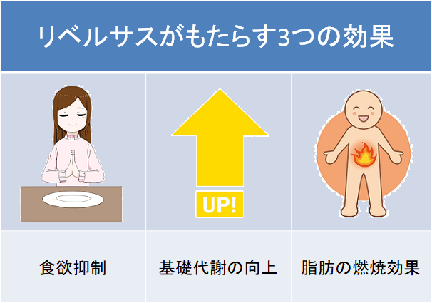  9. 十分な睡眠をとる